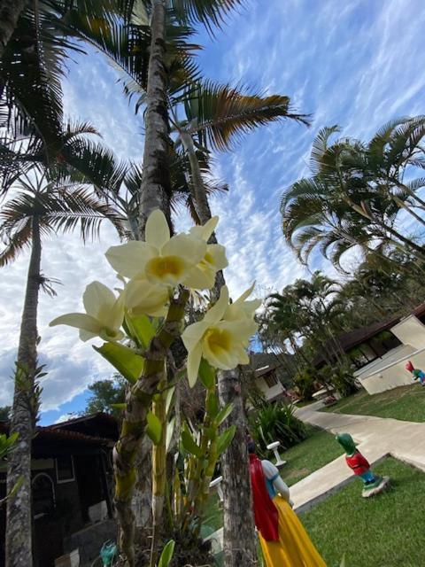 Hotel Fazendinha เปเนโด ภายนอก รูปภาพ