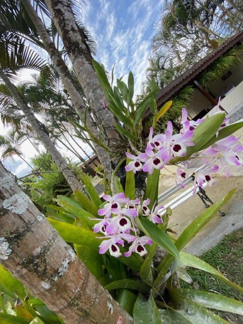 Hotel Fazendinha เปเนโด ภายนอก รูปภาพ